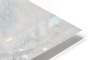 22 14 polarbear HD Metal print