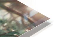 24 01 Dragon HD Metal print