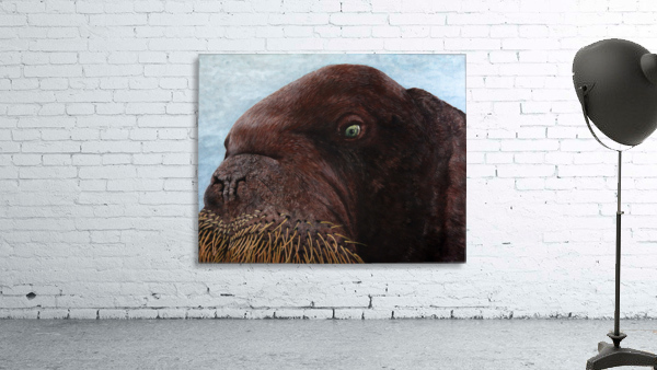 2019 02 print Wall Preview