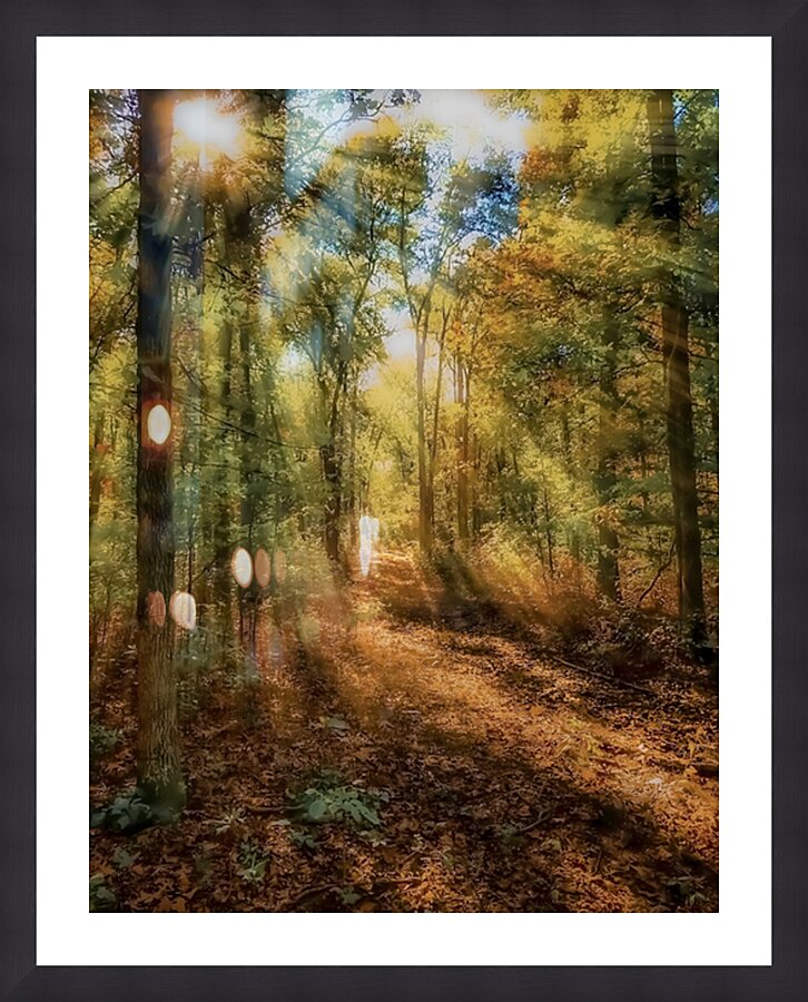 Walking With Nature Picture Frame print