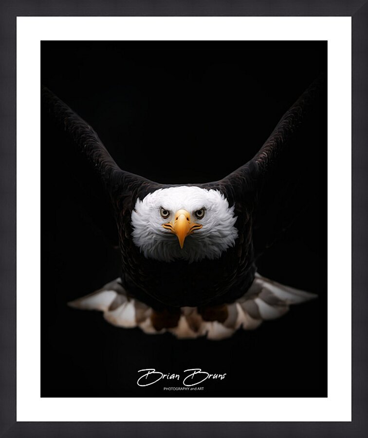 Incoming Picture Frame print