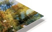 Walking With Nature HD Metal print