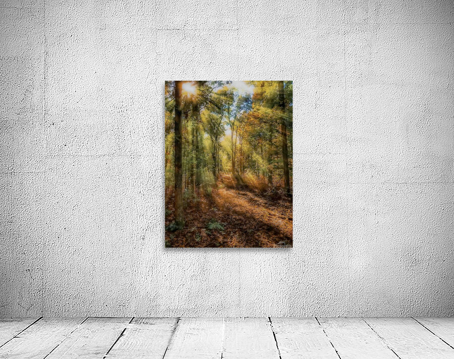 Walking With Nature Wall Preview