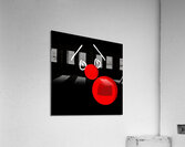 SNoot -  You are doing it wrong Acrylic Print