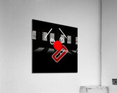 SNoot -  Whatever Acrylic Print