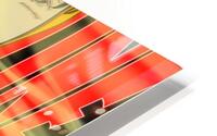 Vasoline HD Metal print