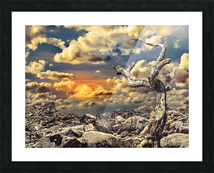 Fantasy Lanscape Scene Picture Frame print