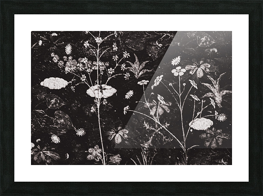 Dark Floral Artwork Picture Frame print