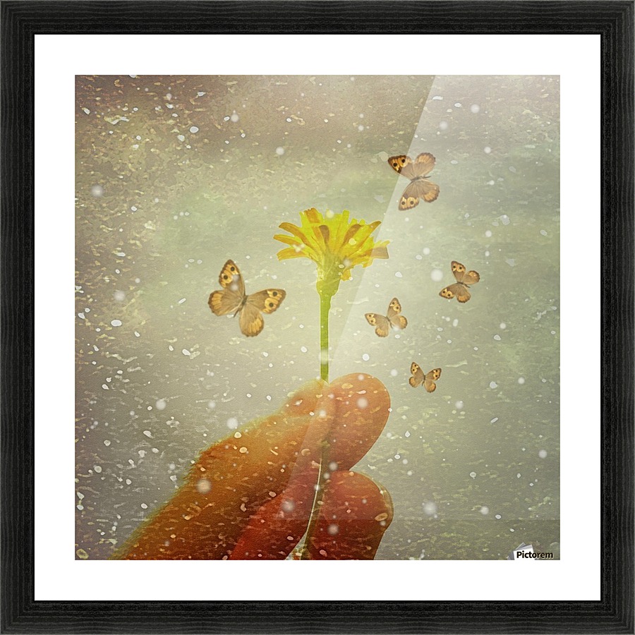 Butterflies Charmer Picture Frame print
