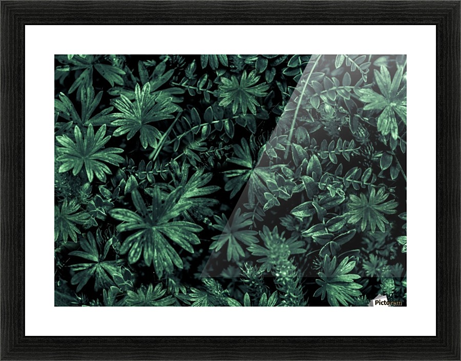 Dark Flora Photo Picture Frame print