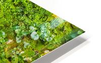Vivid Nature Texture Background HD Metal print