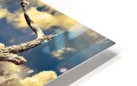 Fantasy Lanscape Scene HD Metal print