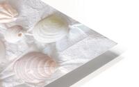 Mollusk Shells Pattern HD Metal print