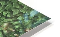 Texture Plants Pattern Photo HD Metal print