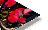 Death and Flowers HD Metal print