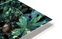 Dark Flora Photo HD Metal print