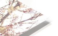 Texture Nature Background HD Metal print