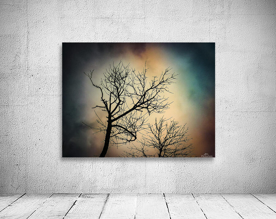 Nature Night Scene  Wall Preview