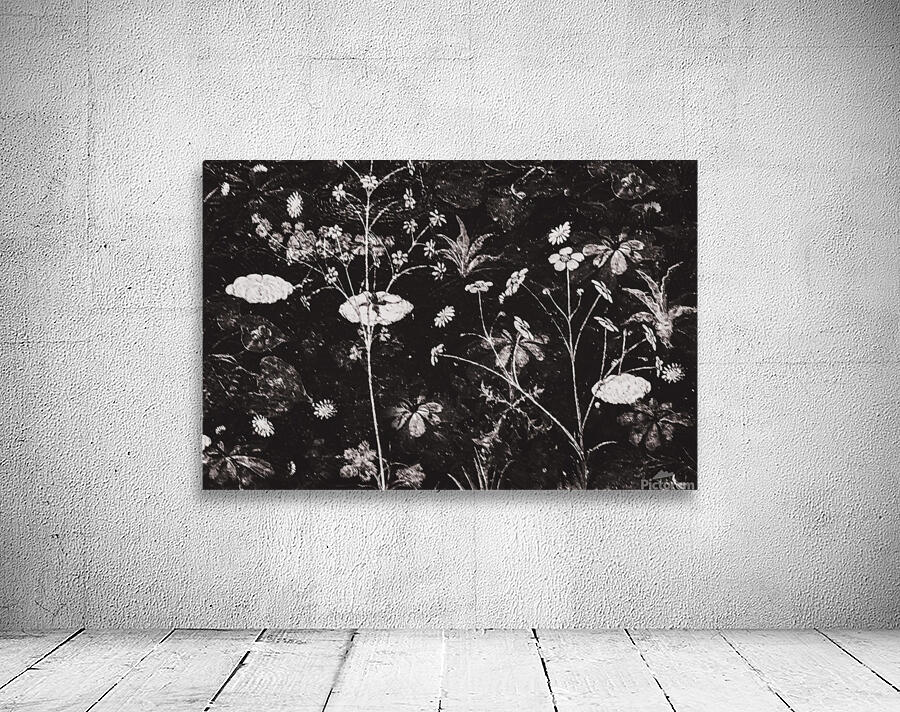 Dark Floral Artwork Wall Preview