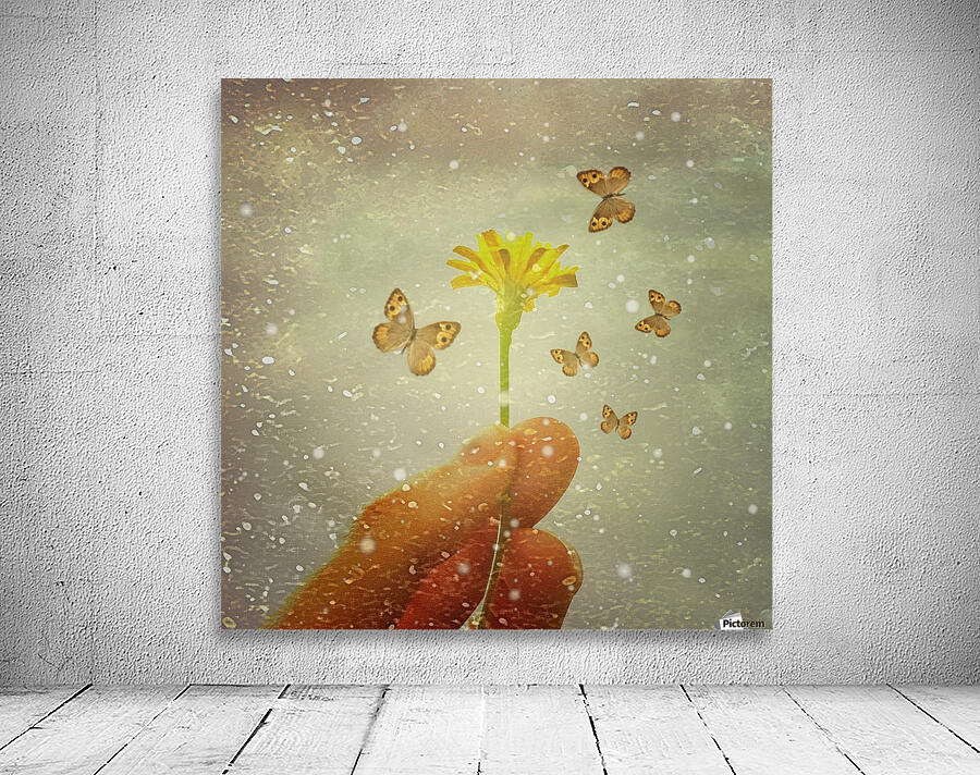 Butterflies Charmer Wall Preview