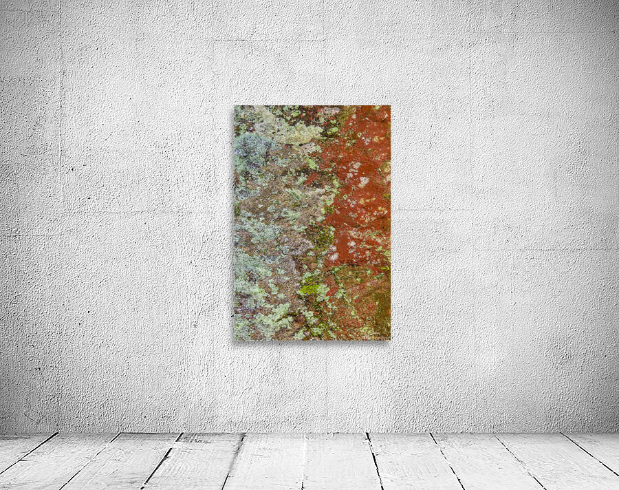 Colorful Abstract Texture Wall Preview
