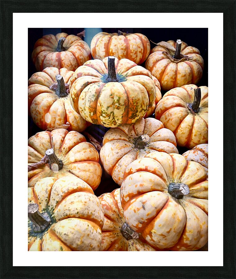 Gourds Picture Frame print