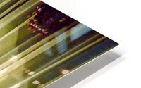 Roncy Window HD Metal print