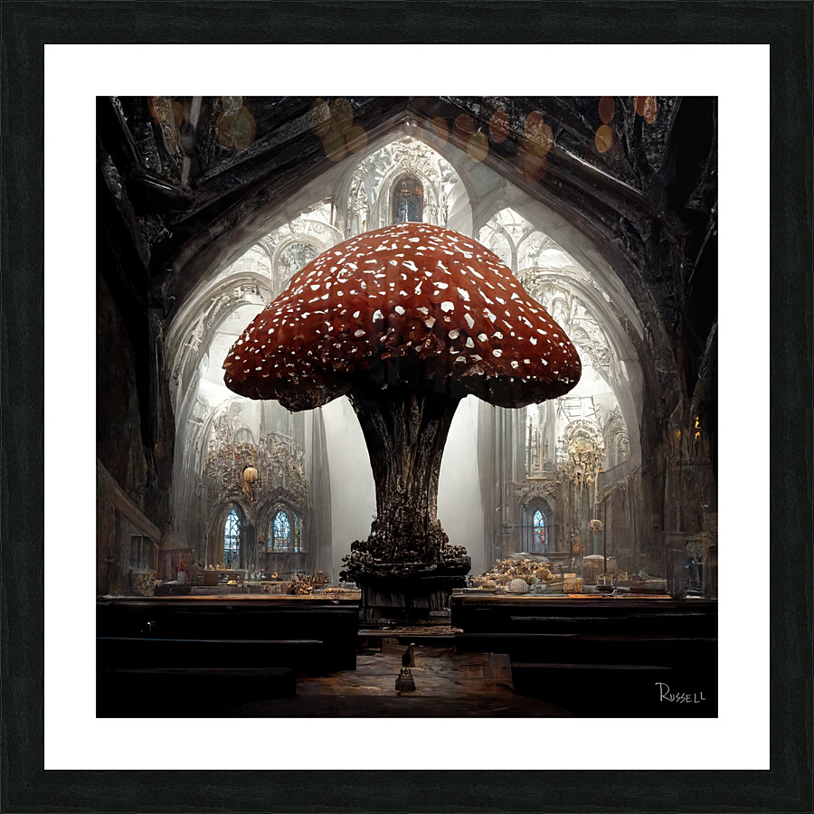 Sacred Cathedral Picture Frame print