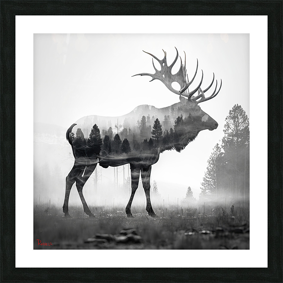 Sacred Elk Picture Frame print