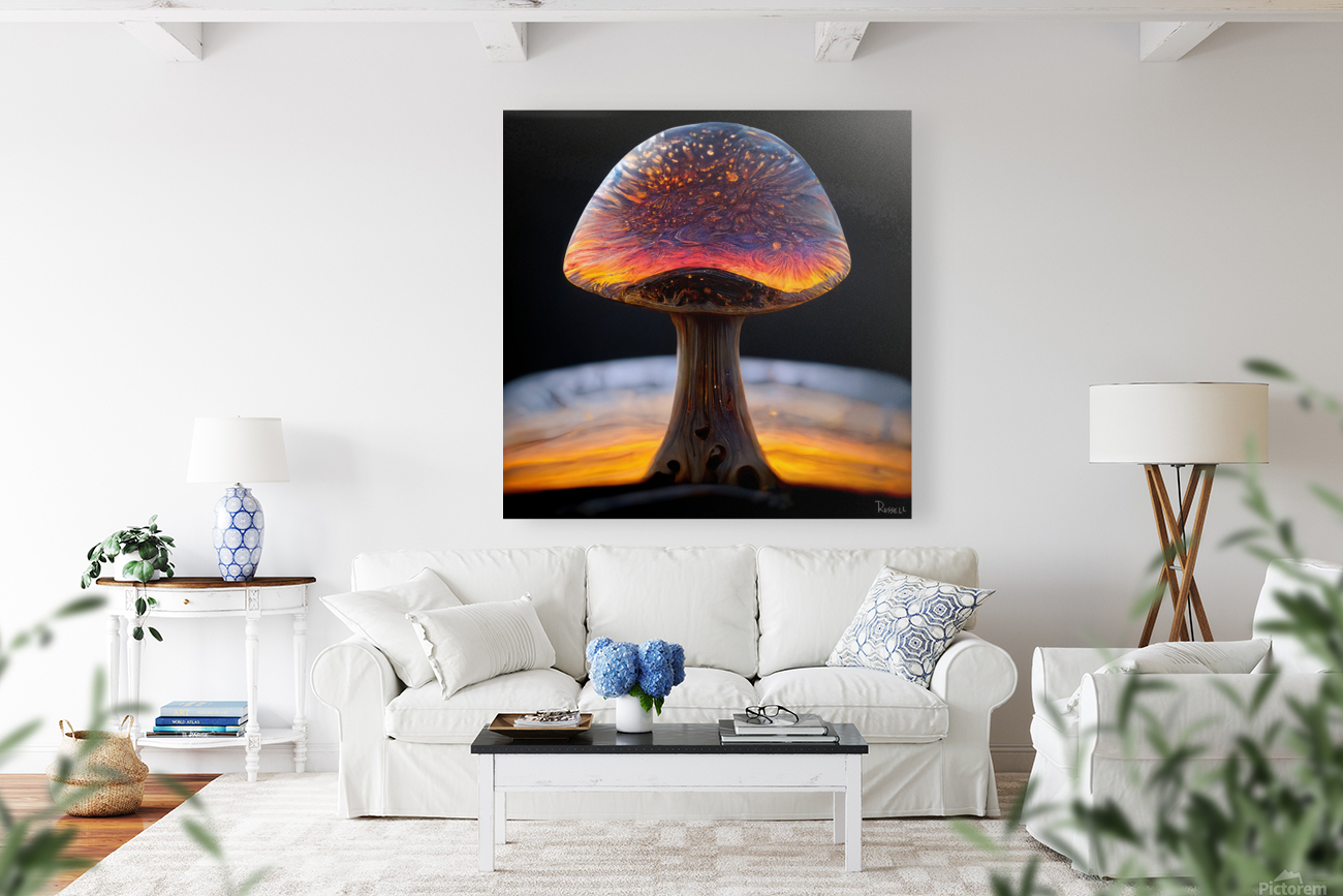 Mushroom Galaxy Reproduction