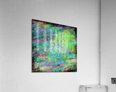 Art888 2 2-20-24 Acrylic Print