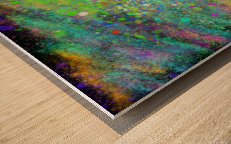 Art888 2 2-20-24 Wood print