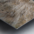 Have We Met  Metal print