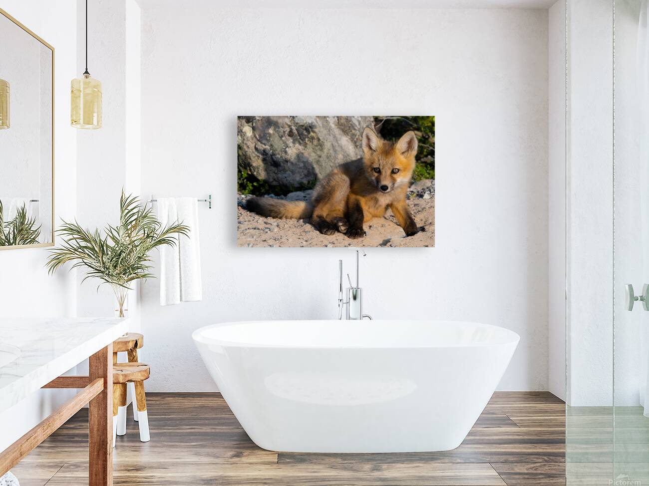 Fox Kit Reproduction