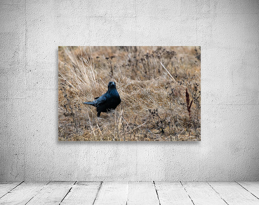 Have We Met  Wall Preview