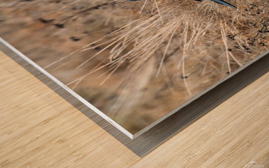 Have We Met  Wood print