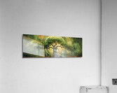 Medieval Celtic Tree of Life Yggdrasil Painting Acrylic Print