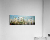 Blue Sky Flower Garden Acrylic Print