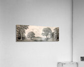  Black & White Trees Drawing Acrylic Print