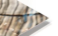 Tree Ring Cross-Section Print HD Metal print