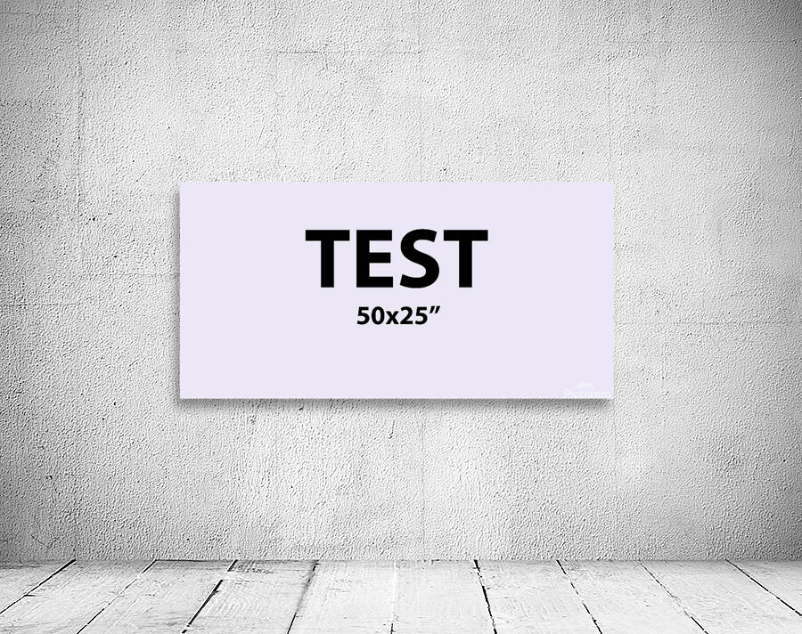 Test 50x25 Wall Preview