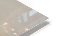 Forest Sunset HD Metal print