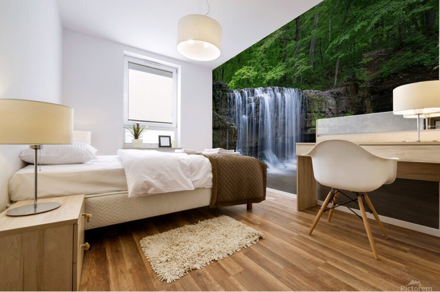 Nerstrand Hidden Falls Mural print