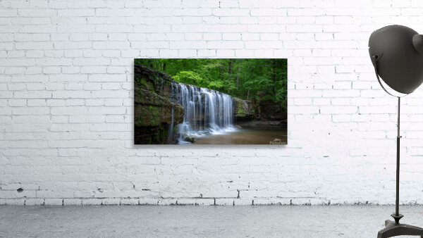 Nerstrand Hidden Falls Wall Preview