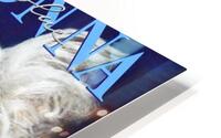 Madonna HD Metal print
