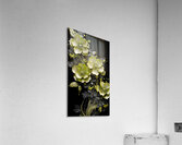 920b8fb8 Acrylic Print