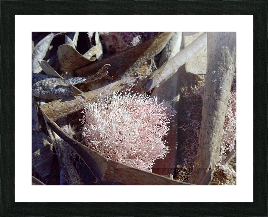 Life Picture Frame print