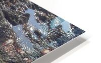 Light HD Metal print