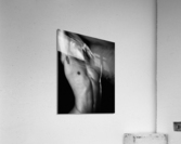 Torso 24x30 Acrylic Print