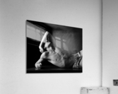 Study 24 x 30 Acrylic Print